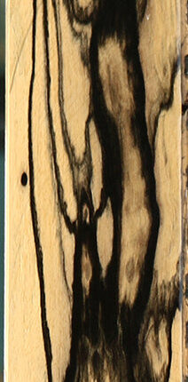 Extra Fancy Black & White Ebony Instrument Micro Lumber