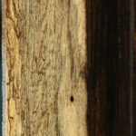 Figured Black & White Ebony Lumber