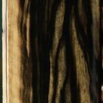 Extra Fancy Black & White Ebony Lumber