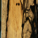 Figured Black & White Ebony Lumber