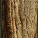 Black & White Ebony Lumber