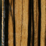 Extra Fancy Black & White Ebony Micro Lumber