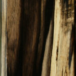 Extra Fancy Black & White Ebony Lumber