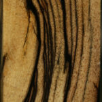 Extra Fancy Black & White Ebony Lumber