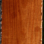 Figured Tzalam Lumber