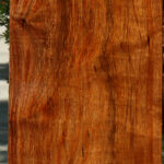 Extra Fancy Tzalam Lumber