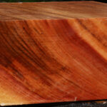 Zelkova Bowl Blank
