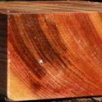 Zelkova Bowl Blank