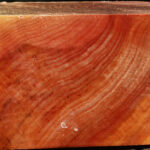 Zelkova Bowl Blank