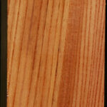 Zelkova Turning Square