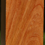 Zelkova Turning Square