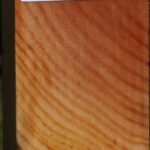 Zelkova Turning Square