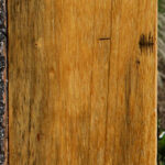 Marblewood Lumber