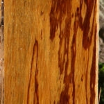 Marblewood Lumber
