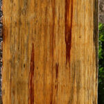 Marblewood Lumber