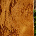 Extra Fancy Marblewood Lumber