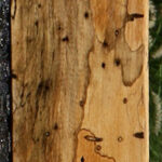 Figured Spalted Tamarind Lumber