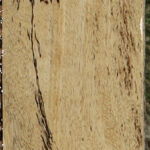Figured Spalted Tamarind Lumber