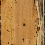 Spalted Tamarind Lumber