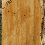 Figured Spalted Tamarind Lumber