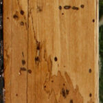 Spalted Tamarind Lumber