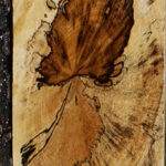 Extra Fancy Spalted Tamarind Lumber