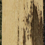Spalted Tamarind Lumber