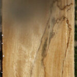 Spalted Tamarind Lumber