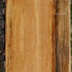 Spalted Tamarind Lumber