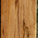 Spalted Tamarind Lumber