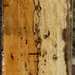 Figured Spalted Tamarind Lumber