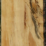 Spalted Tamarind Lumber