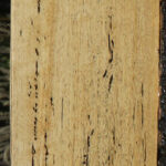 Figured Spalted Tamarind Lumber