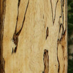 Figured Spalted Tamarind Lumber