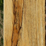 Extra Fancy Spalted Tamarind Lumber