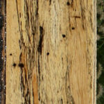 Spalted Tamarind Lumber
