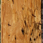 Spalted Tamarind Lumber