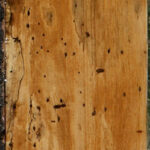 Spalted Tamarind Lumber