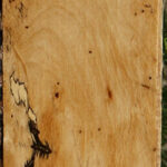 Figured Spalted Tamarind Lumber