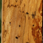 Figured Spalted Tamarind Lumber