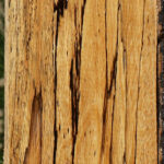 Figured Spalted Tamarind Lumber