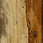 Figured Spalted Tamarind Lumber