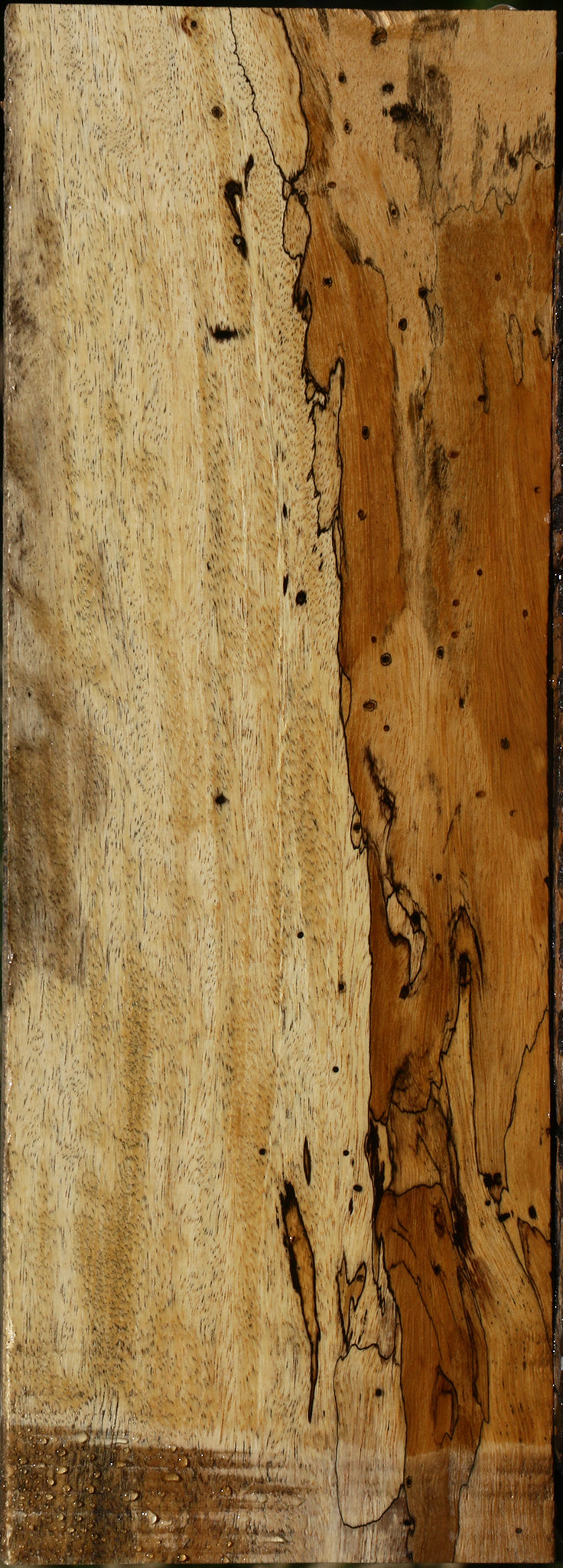 235525_1_1e86ab31-d9ae-45c3-9c6d-daacf3759863 Figured Spalted Tamarind Lumber - Image 1