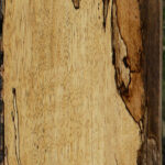 Spalted Tamarind Lumber