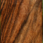 Extra Fancy English Walnut Forend