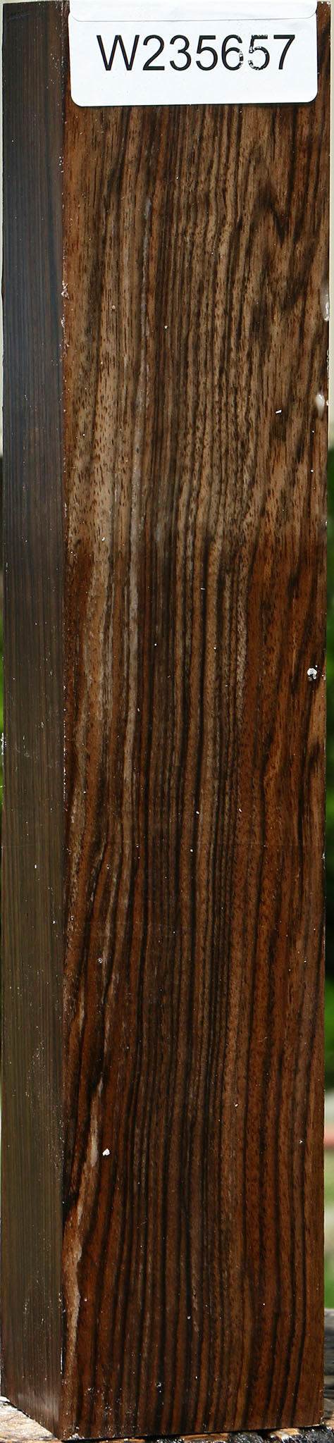 235657_1_495441da-e87b-402e-b402-661b044423cd Extra Fancy English Walnut Forend - Image 1