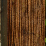 English Walnut Forend