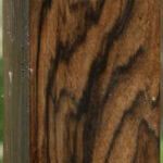 English Walnut Forend