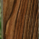 English Walnut Forend