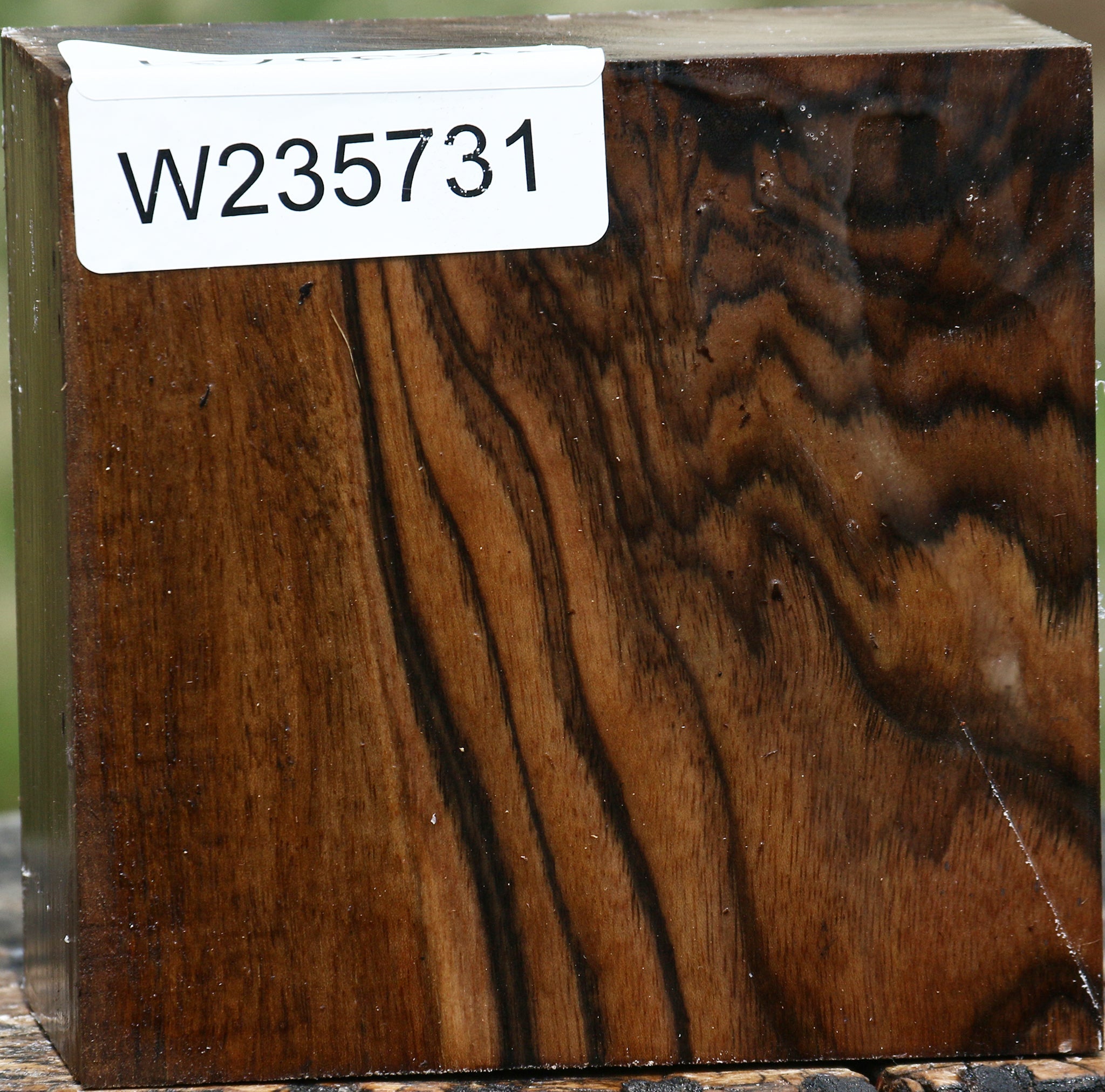 235731_1_ba2347de-30d5-4990-b224-0758c7e94a18 Extra Fancy English Walnut Bowl Blank - Image 1